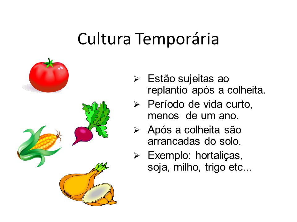 Cultura Temporária