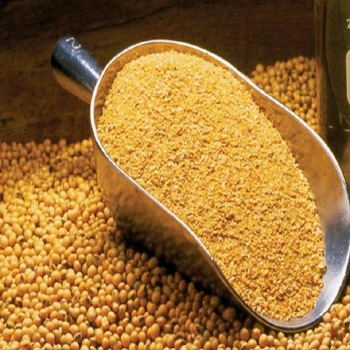 Qual o Teor de Proteína do Farelo de Soja?