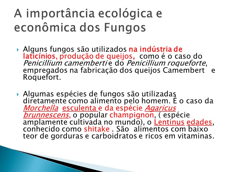 Importância Econômica Dos Fungos