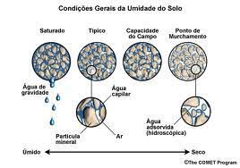 Macroporos E Microporos