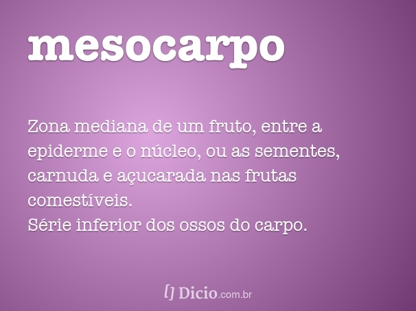 Mesocarpo