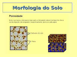 Porosidade do Solo 