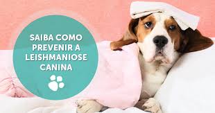 Prevenção de Leishmaniose Canina 