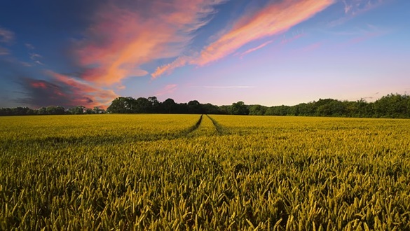 Qual a Maior Propriedade Rural do Brasil?