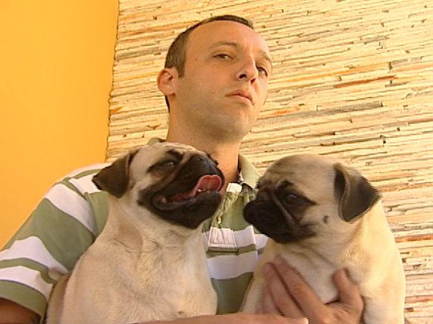 Pugs Com o Dono