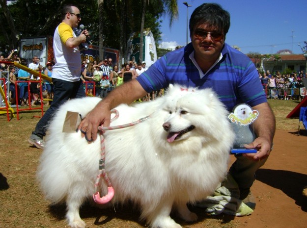 Samoieda e o Dono