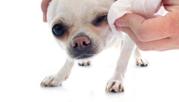 Tratando de Lágrima Ácida