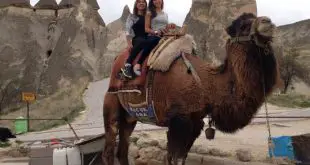 Turistas Em Cima de um Camelo
