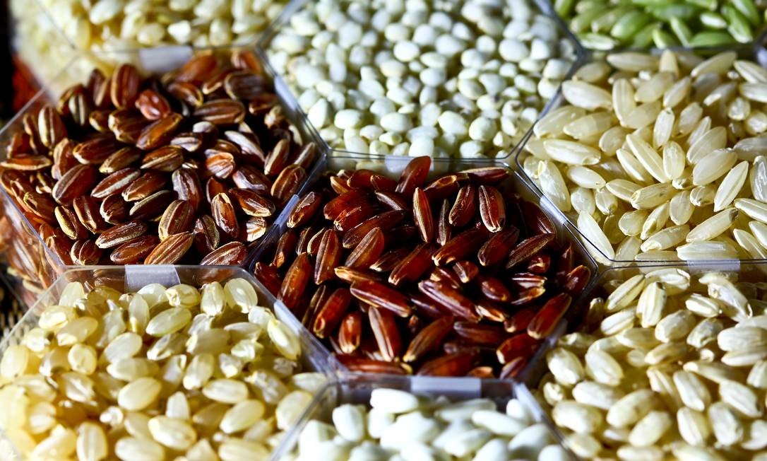 Lista de Tipos, Espécies e Variedades de Arroz Existentes