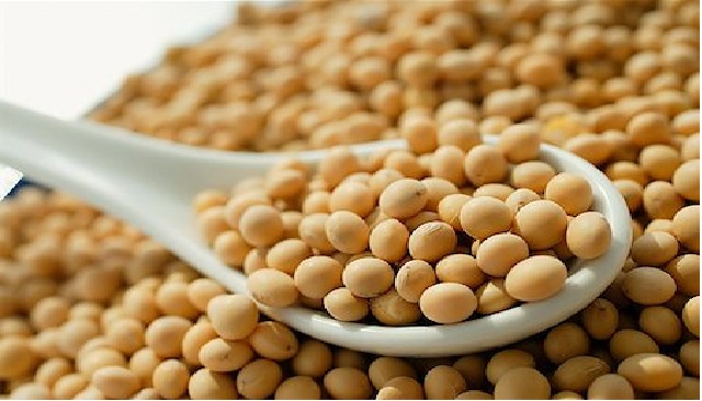 Quais as Vitaminas da Carne de Soja? E os Benefícios do Leite?