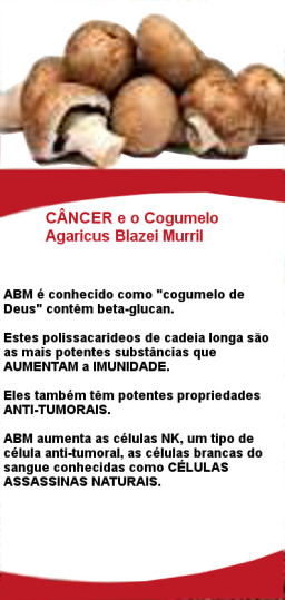 Benefícios Do Cogumelo Agaricus