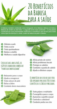 Benefícios da Babosa