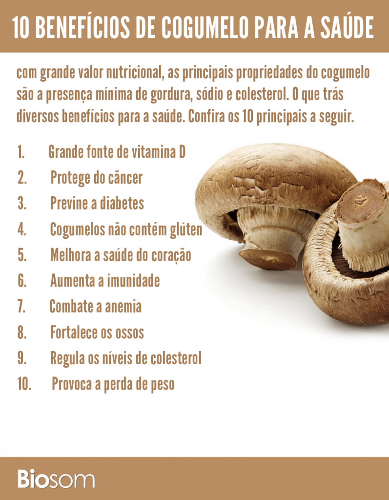 O Que é Chá Droga? Qual a Reação do Chá de Cogumelo? Mundo Ecologia O Que é Chá Droga? Qual a Reação do Chá de Cogumelo? Mundo Ecologia