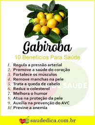 Benefícios sobre a Gabiroba 