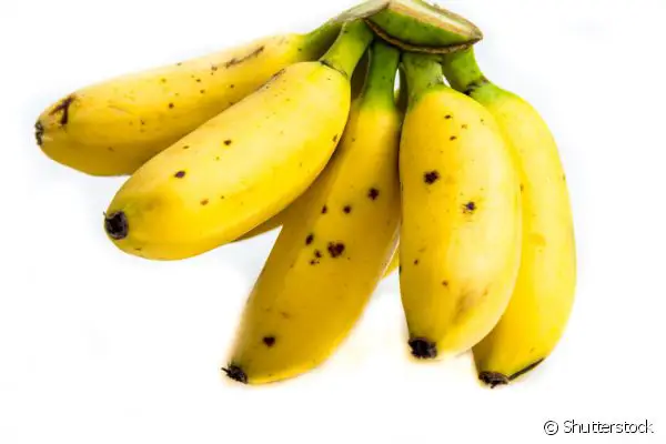 Cacho de Banana