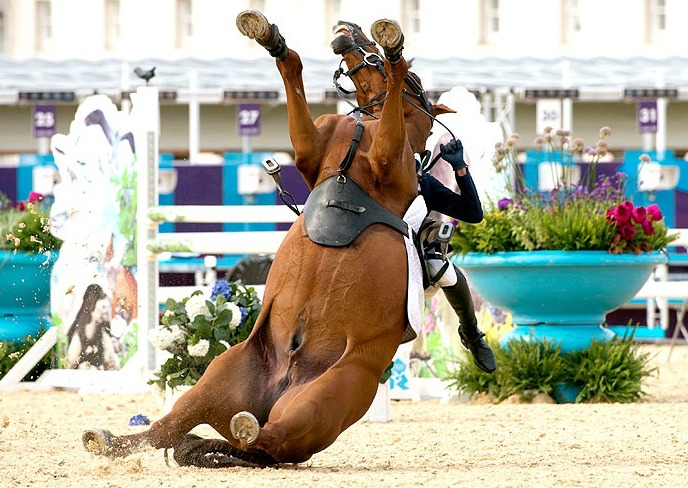 Cavalo Caindo no Hipismo