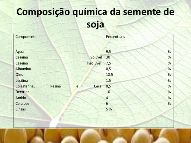 Composição Química da Soja