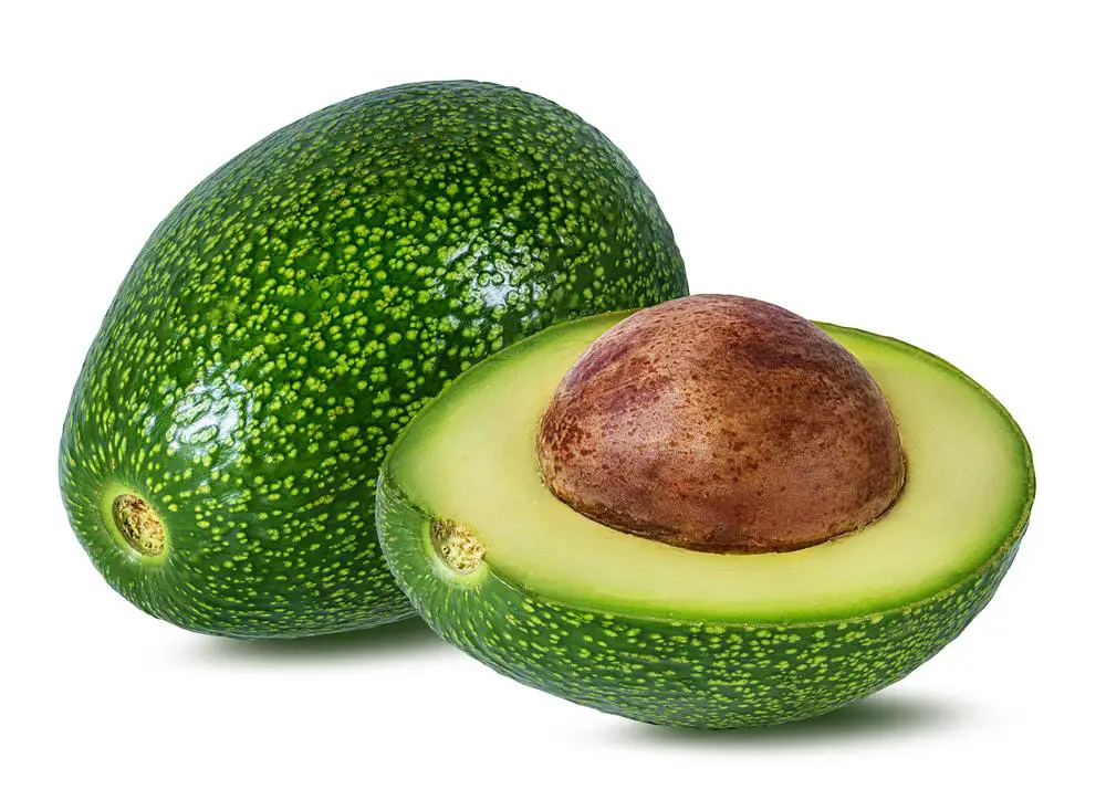 Foto de um Avocado