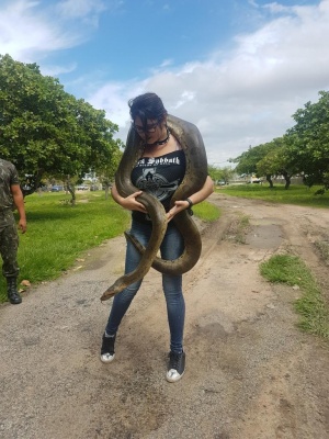 Mulher Com Cobra Jiboia Argentina