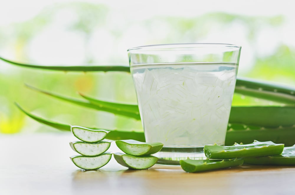 Suco de Babosa: Para Que Serve? Como Fazer Para Gastrite?