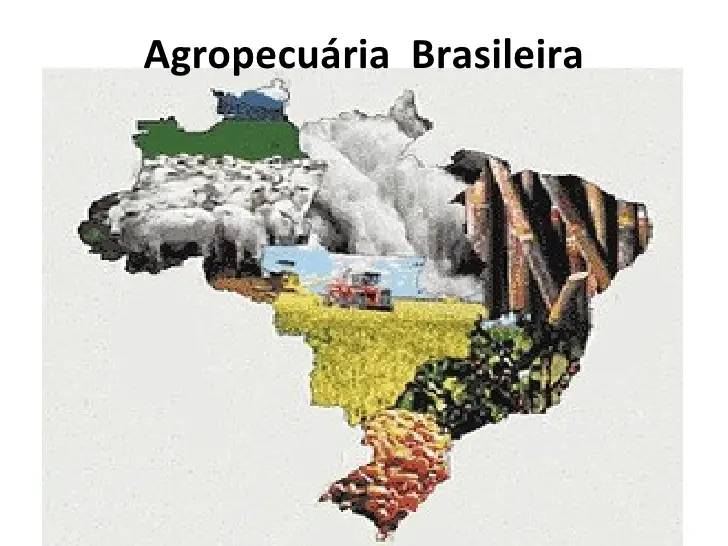A Agropecuária no Brasil