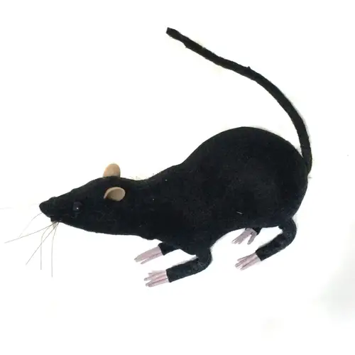 A Cauda dos Ratos
