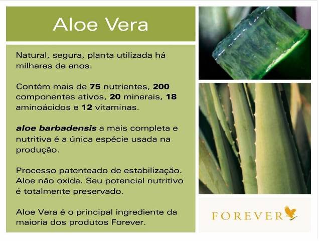 Aloe Vera - Babosa 