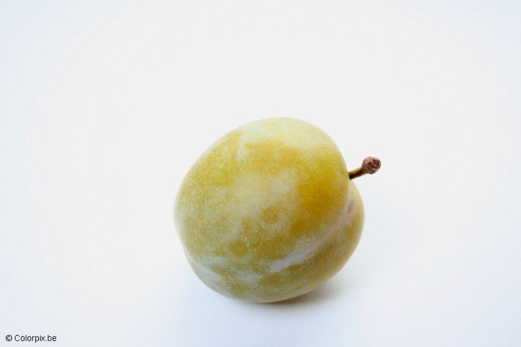 Ameixa Branca: Benefícios, Calorias, Árvore, Características e Fotos