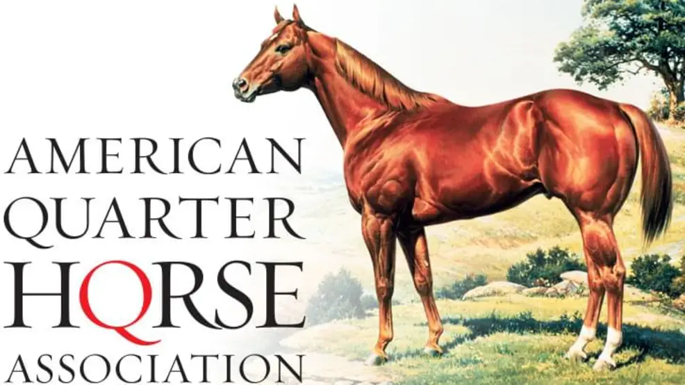 American Quarter Horse Association Ford Rebate