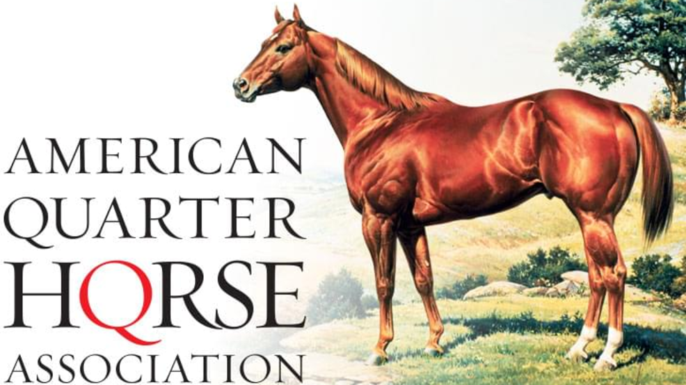 American Quarter Horse Association