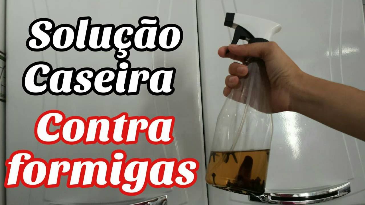 Aplicando Veneno em Formigas