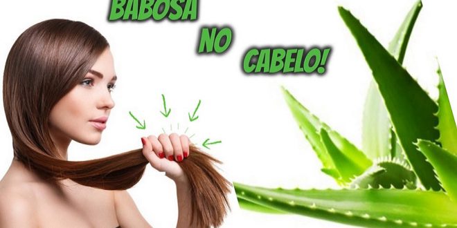Babosa Cresce o Cabelo! Mito ou Verdade? Como Usar? | Mundo Ecologia