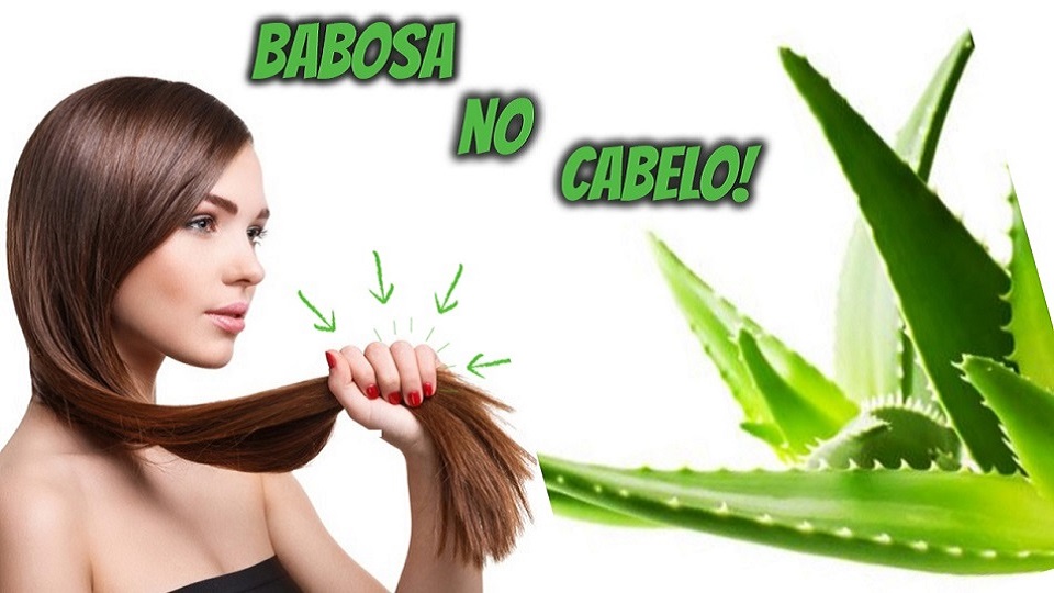 Babosa Cresce o Cabelo! Mito ou Verdade? Como Usar?