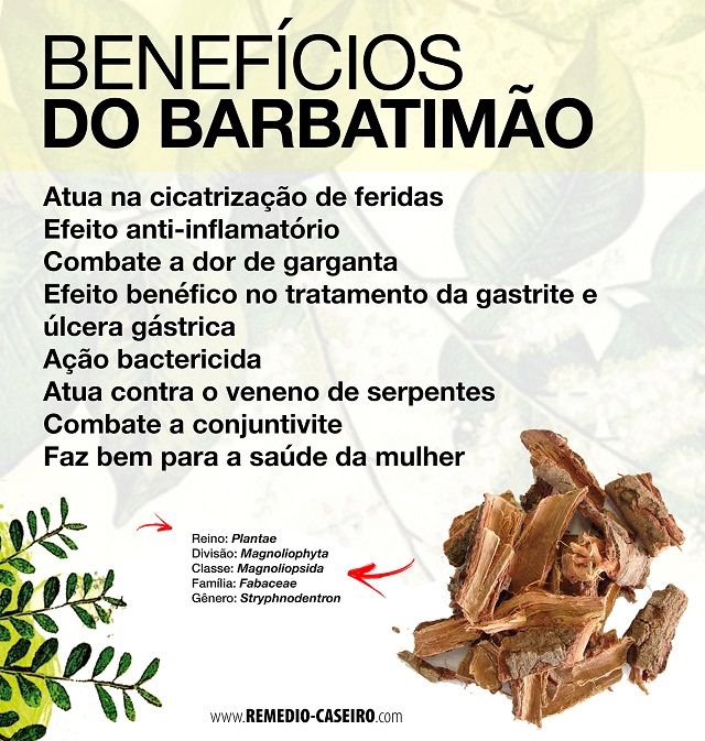 Características Do Barbatimão 