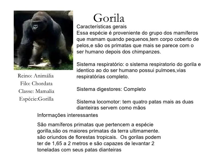 Características Do Gorila