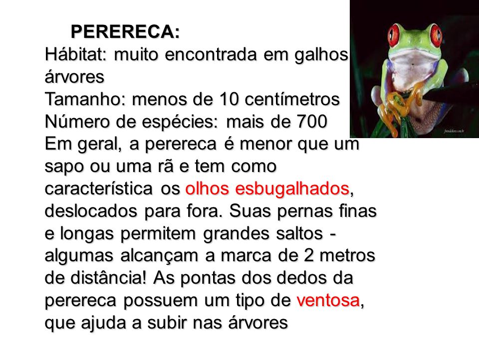 Características da Perereca