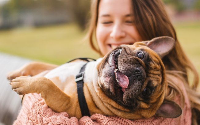 Carinho dos Cachorros com os Donos