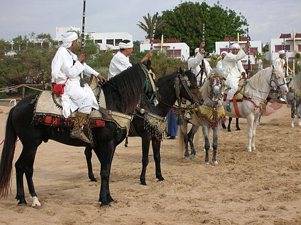 Cavalo Berbere na Angiguidade