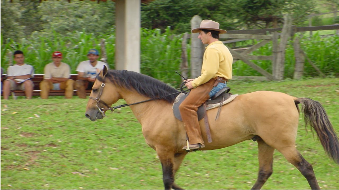 Cavalo De Monta