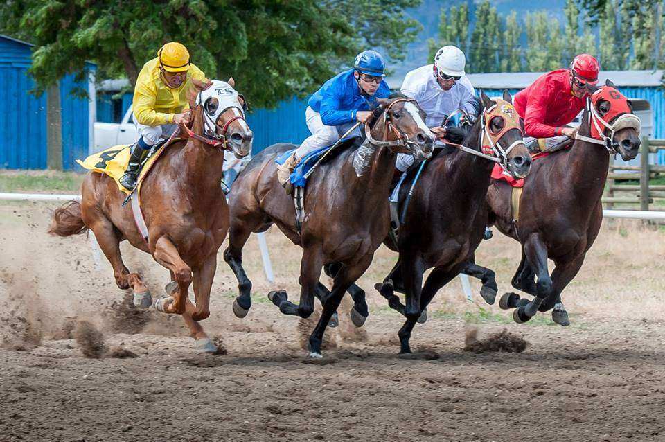 Corrida de Cavalo 