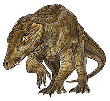 Crocodilo Araripesuchus
