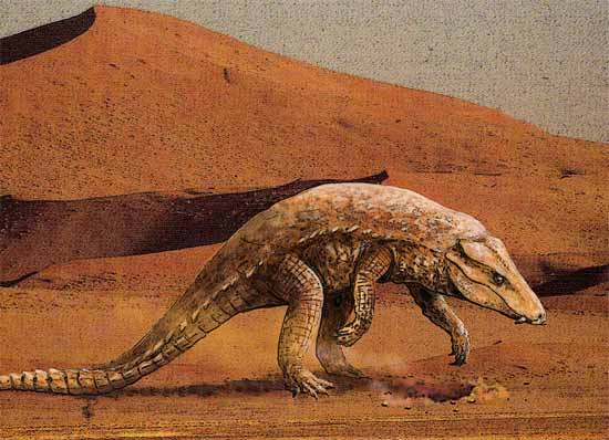 Crocodilo Armadillosuchus
