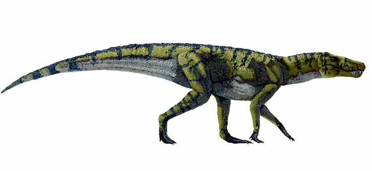 Crocodilo Baurusuchus