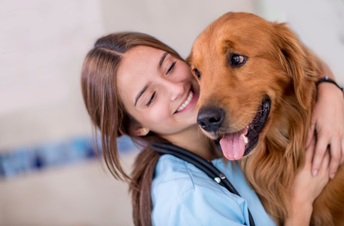 Cuidando da Saúde do Cachorro 