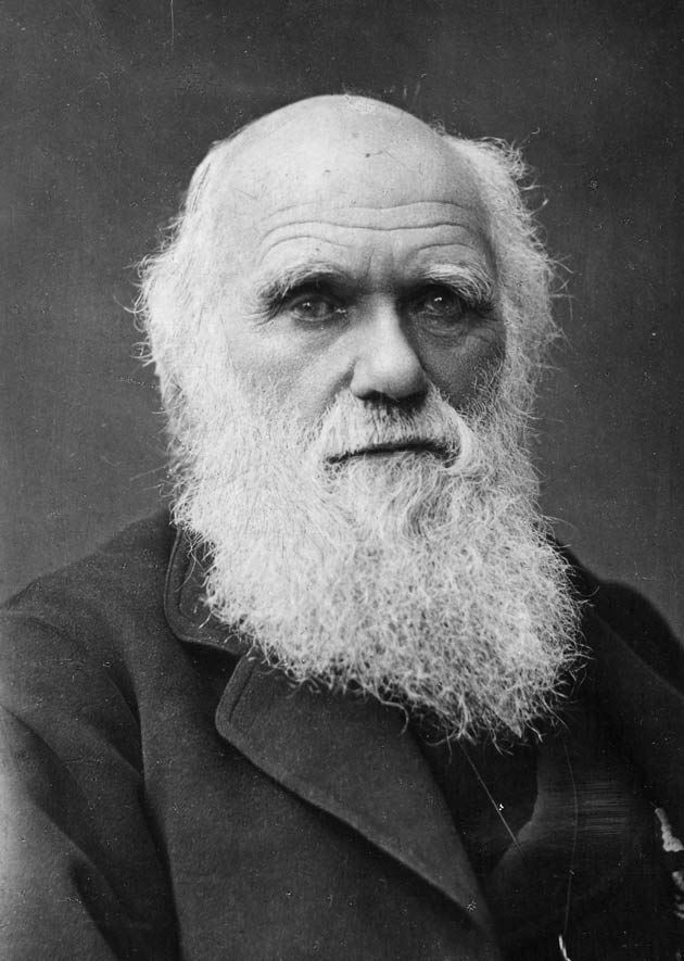 Darwin 