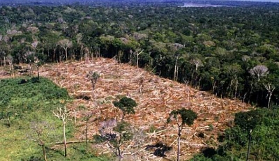 Destruição de Mata 