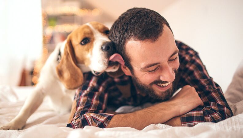 Dono Conhecendo o Cão