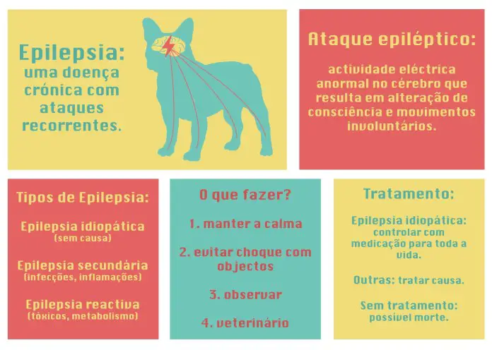 Epilepsia Idiopática nos Cães 