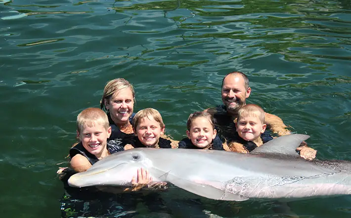 Família Tira Foto Com um Golfinho em Flórida Keys