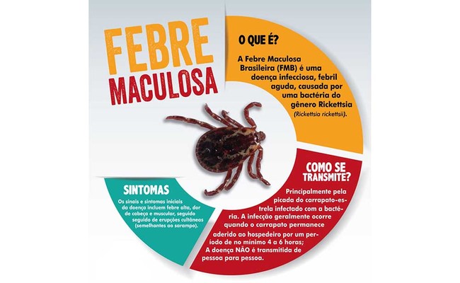 Febre Maculosa 